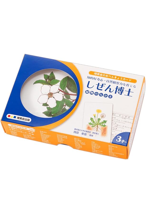 【新品未使用】理英会／言語カード／フルセット／年少、新年中、年中、年長 言語カード 理英会 理英会 - 言語カード 2024年度 理英会言語カード年長